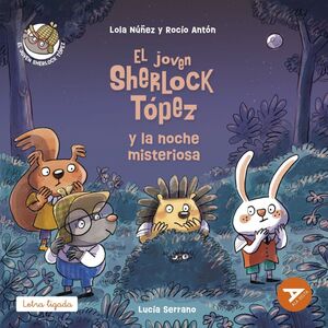 EL JOVEN SHERLOCK TÓPEZ Y LA NOCHE MISTERIOSA