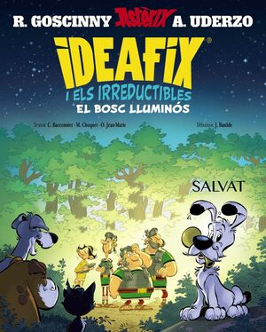 IDEAFIX I ELS IRREDUC, 6