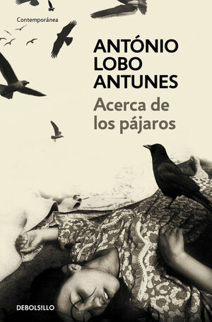 ACERCA DE LOS PÁJAROS